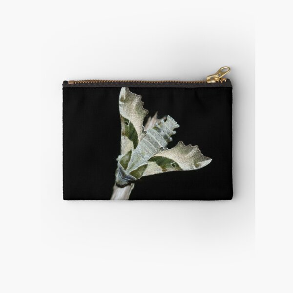 Item preview, Evening primrose hawk designed and sold by NW-Photo-Art.