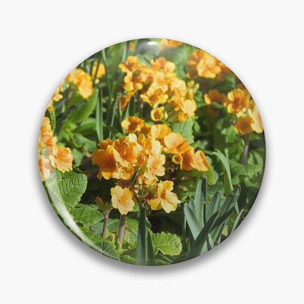 Item preview, Primula designed and sold by Sybille-Yates.