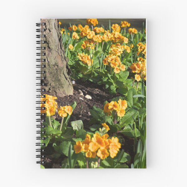 Item preview, Primula designed and sold by Sybille-Yates.