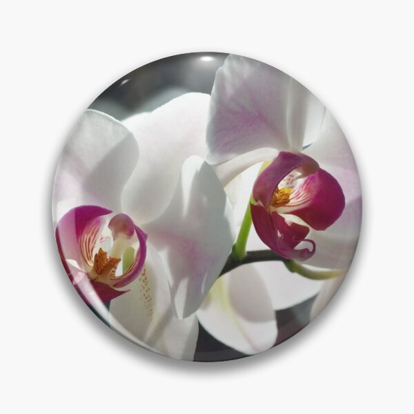 Item preview, Phalaenopsis designed and sold by Sybille-Yates.