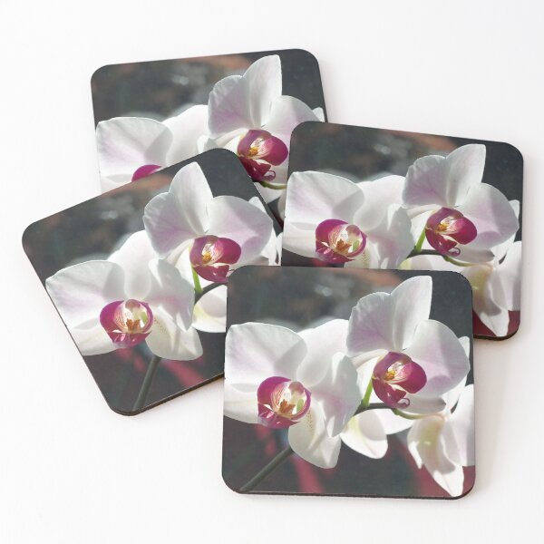 Item preview, Phalaenopsis designed and sold by Sybille-Yates.