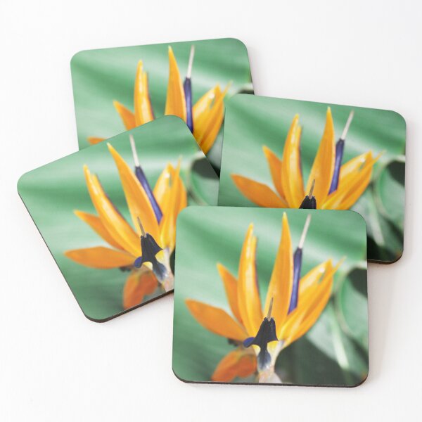 Item preview, Bird of Paradise designed and sold by Sybille-Yates.