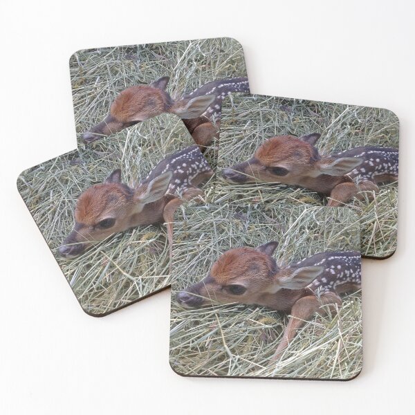 Item preview, Welcome To The World Little Fawn designed and sold by ncNatureVisions.