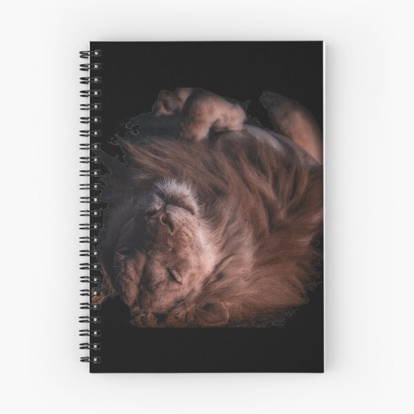 Item preview, Sleeping lion designed and sold by Sandra Le Roux.
