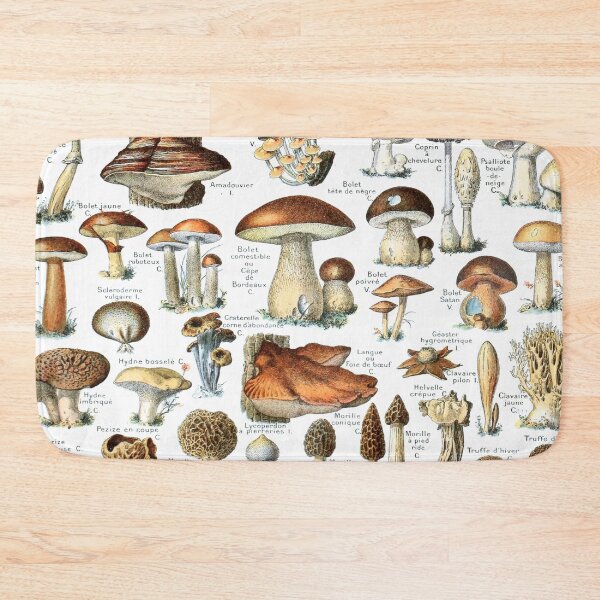 Item preview, Adolphe Millot Vintage Mushrooms designed and sold by koovoxdogs.