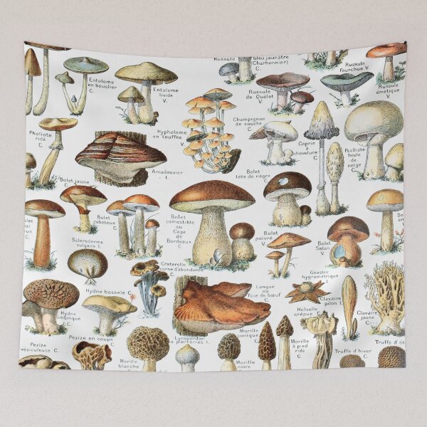 Item preview, Adolphe Millot Vintage Mushrooms designed and sold by koovoxdogs.