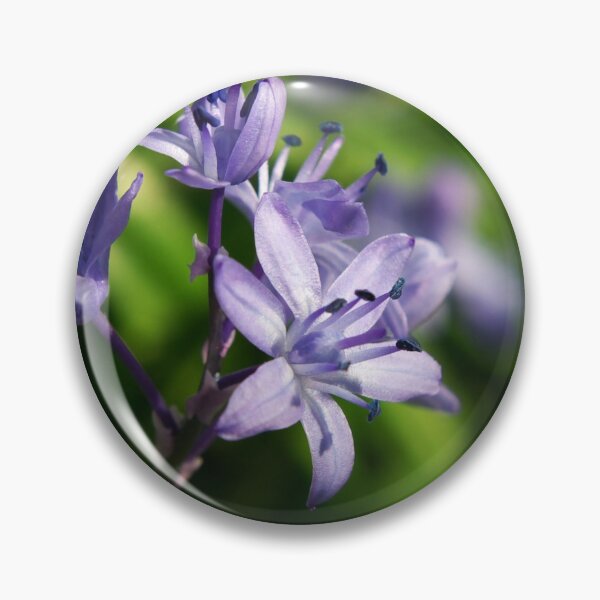 Item preview, Hyacinthoides Italica designed and sold by Sybille-Yates.