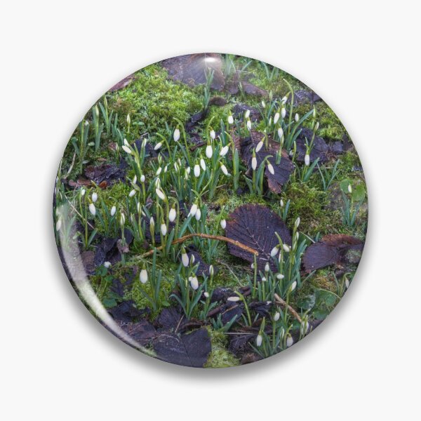 Item preview, The first Snowdrops designed and sold by tomg.