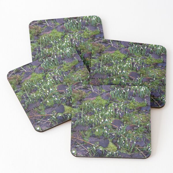 Item preview, The first Snowdrops designed and sold by tomg.