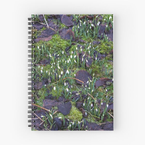 Item preview, The first Snowdrops designed and sold by tomg.