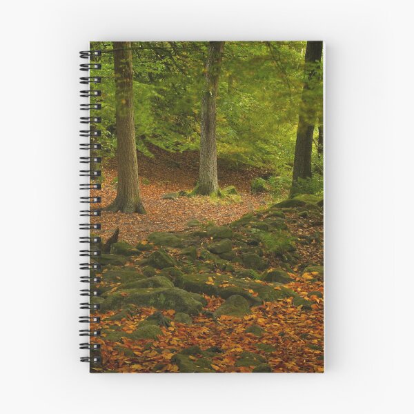 Item preview, Peak District Woodland - Padley Gorge designed and sold by ademcfade.