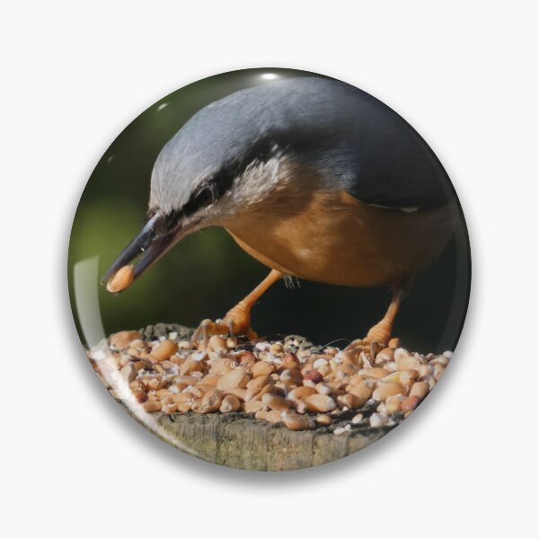Item preview, Nuthatch designed and sold by Yampimon.