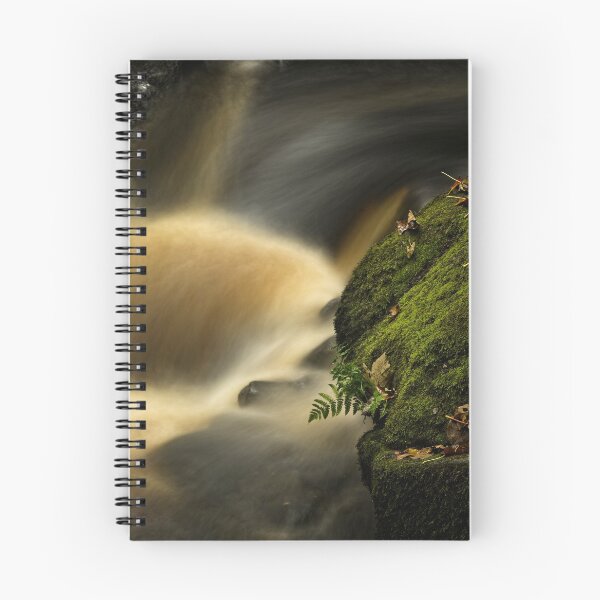 Item preview, Lone Fern at Padley Gorge designed and sold by ademcfade.