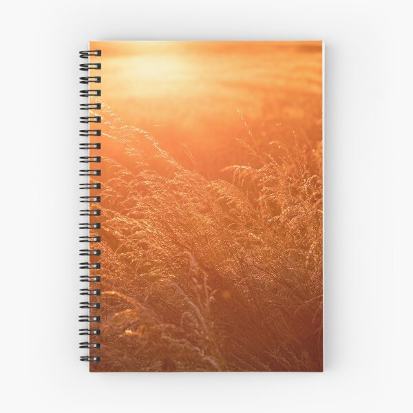 Item preview, Sunset grasses designed and sold by ademcfade.