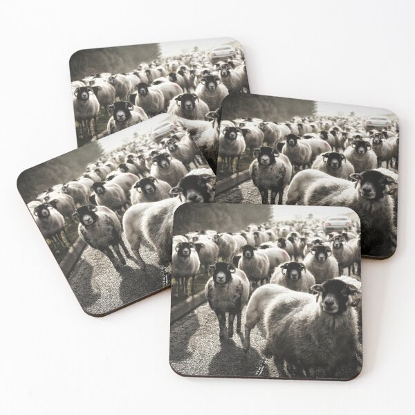Item preview, Sheep on the A6 - Penrith designed and sold by ademcfade.