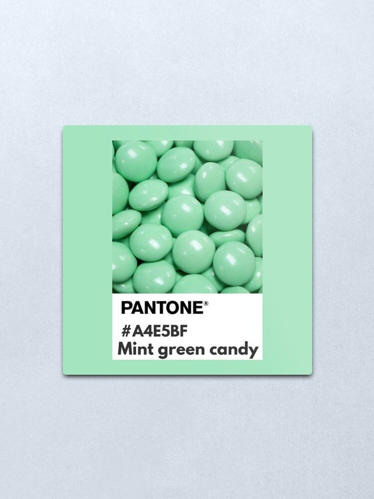 lengua farmacia Detallado Lámina metálica «Colores pantone caramelo verde menta» de softlycarol |  Redbubble
