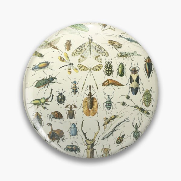 Item preview, Adolphe Millot Vintage Insect designed and sold by koovoxdogs.