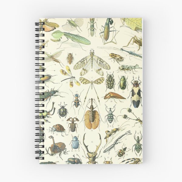 Item preview, Adolphe Millot Vintage Insect designed and sold by koovoxdogs.