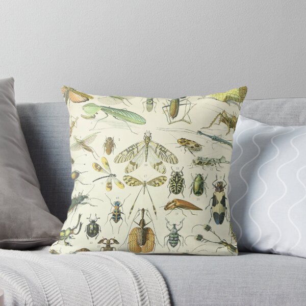 Item preview, Adolphe Millot Vintage Insect designed and sold by koovoxdogs.