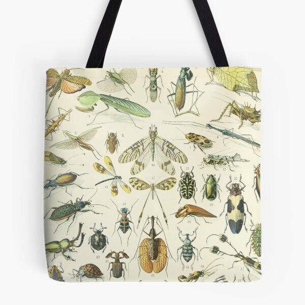 Item preview, Adolphe Millot Vintage Insect designed and sold by koovoxdogs.