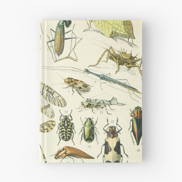 Item preview, Adolphe Millot Vintage Insect designed and sold by koovoxdogs.