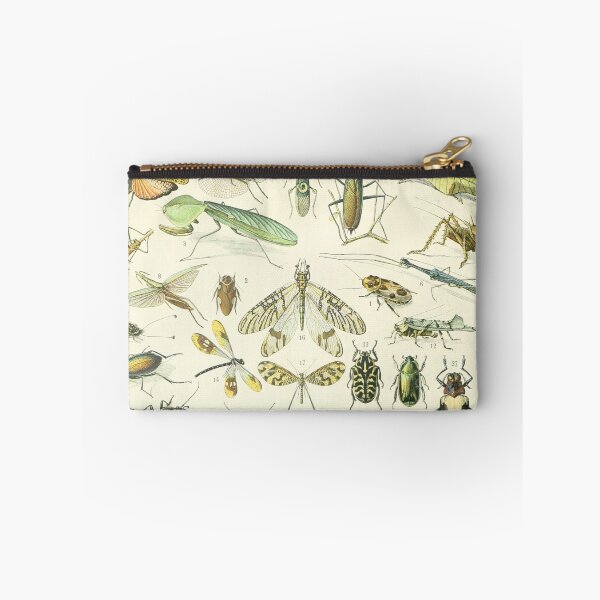 Item preview, Adolphe Millot Vintage Insect designed and sold by koovoxdogs.