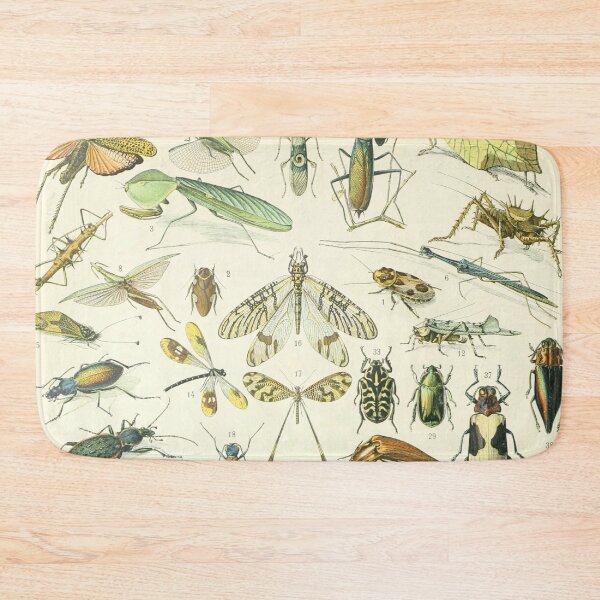 Item preview, Adolphe Millot Vintage Insect designed and sold by koovoxdogs.