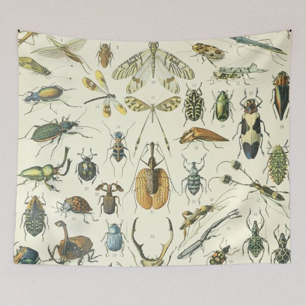 Item preview, Adolphe Millot Vintage Insect designed and sold by koovoxdogs.