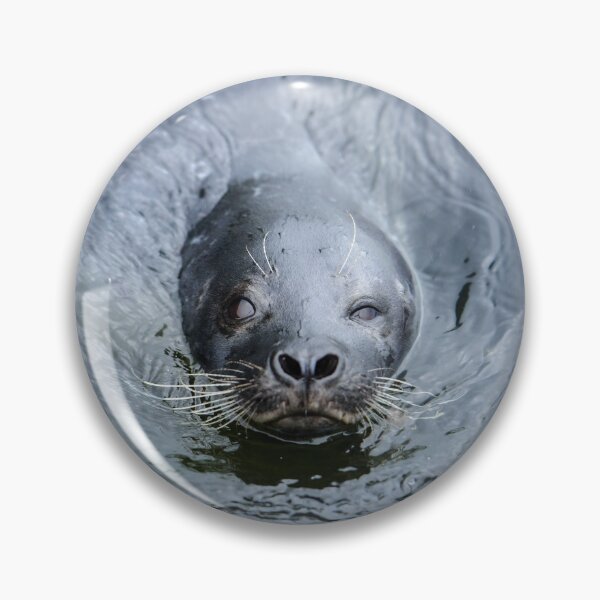 Item preview, Seal Winking designed and sold by reinah.