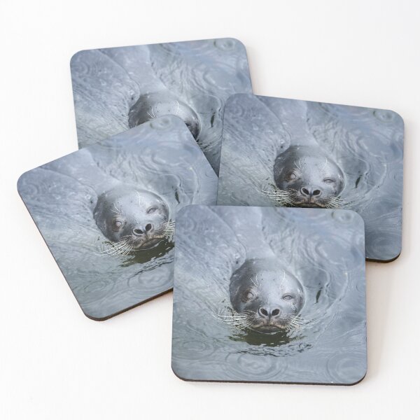 Item preview, Seal Winking designed and sold by reinah.