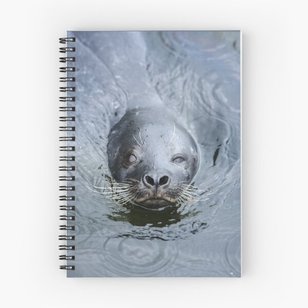 Item preview, Seal Winking designed and sold by reinah.