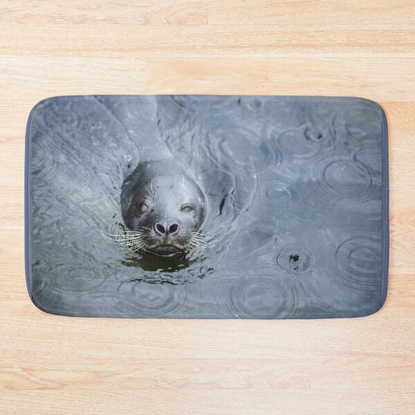 Item preview, Seal Winking designed and sold by reinah.