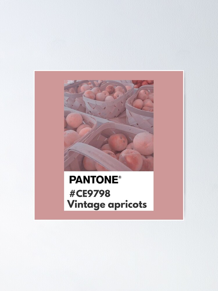 Pantone Almost Apricot #coloroftheday #march12 #thedailysocial  #bestoftheday #pinspiration #pinoftheday #dailypin…