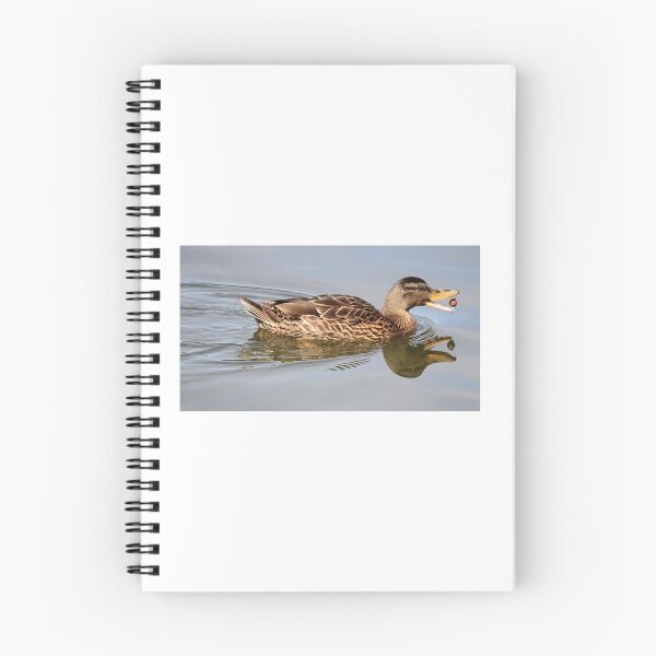 Item preview, Mallard designed and sold by dawnspics2020.