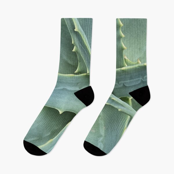 Artikelvorschau, Aloe Vera entworfen und verkauft von Gerhanj.