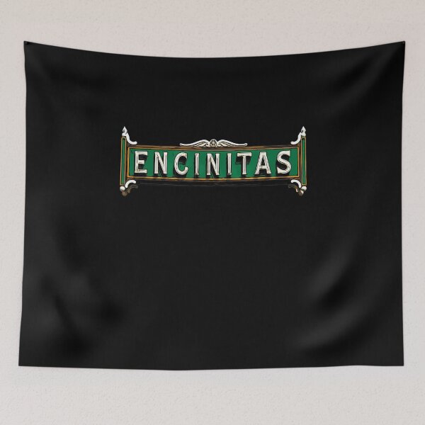 Item preview, Vintage Highway 101 Encinitas Sign designed and sold by PBANDJCO.