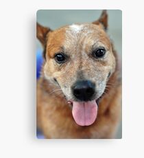 50mm Canvas Print