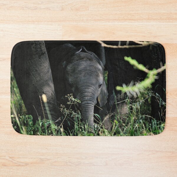 Item preview, "Curiosity" designed and sold by Andreas Koerner.