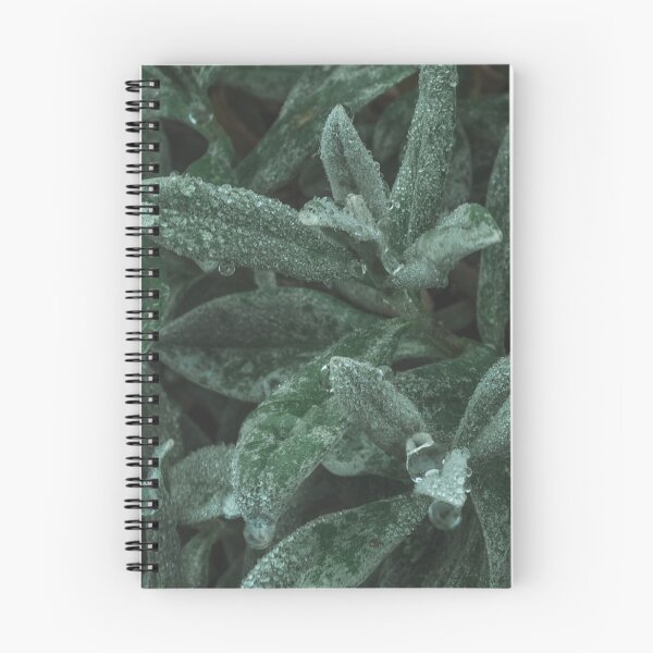 Item preview, Evergreen plant designed and sold by VieClaud.