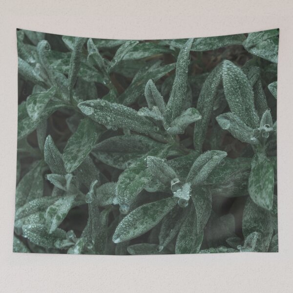 Item preview, Evergreen plant designed and sold by VieClaud.