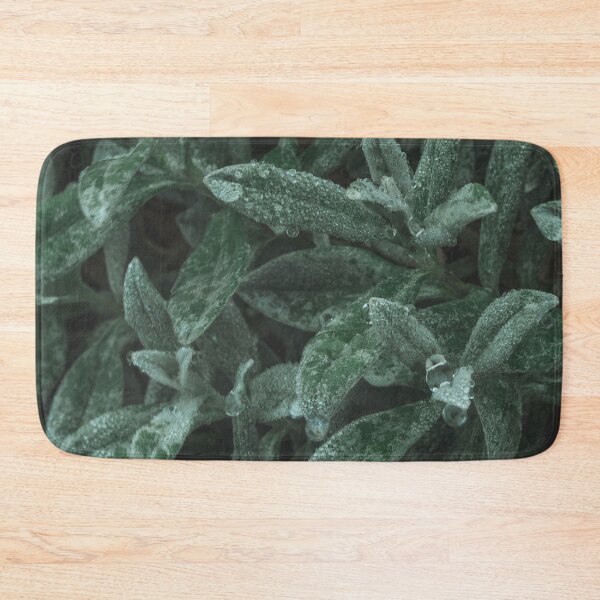 Item preview, Evergreen plant designed and sold by VieClaud.