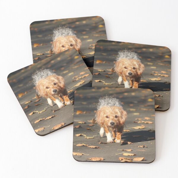 Item preview, Autumn walkies designed and sold by GreyFeatherPhot.