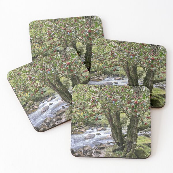 Item preview, Magic forest designed and sold by mimikingless.