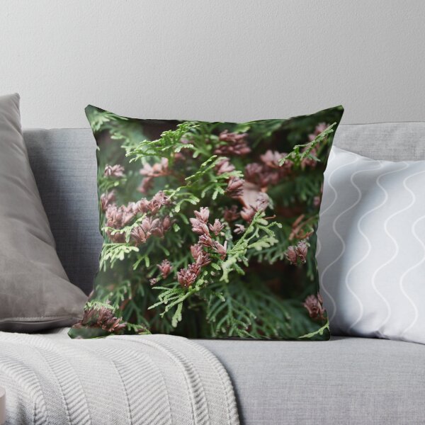 Maybe there are some seeds too. Northern white cedar Throw Pillow
