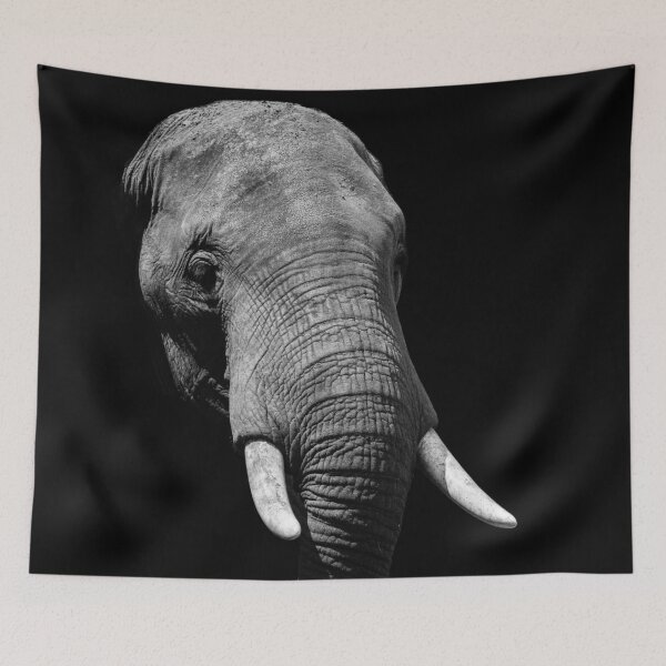 Item preview, Elephant Tusk in Darkness designed and sold by Alladin7.