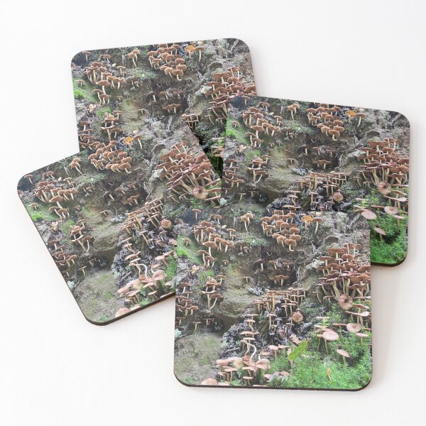 Item preview, Fungi Kingdom designed and sold by mimikingless.