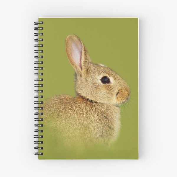Item preview, Portrait of a cute little rabbit designed and sold by dgwildlife.
