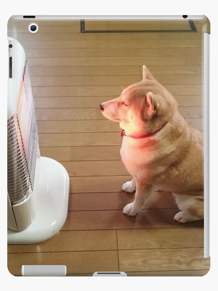 Dog 2024 space heater