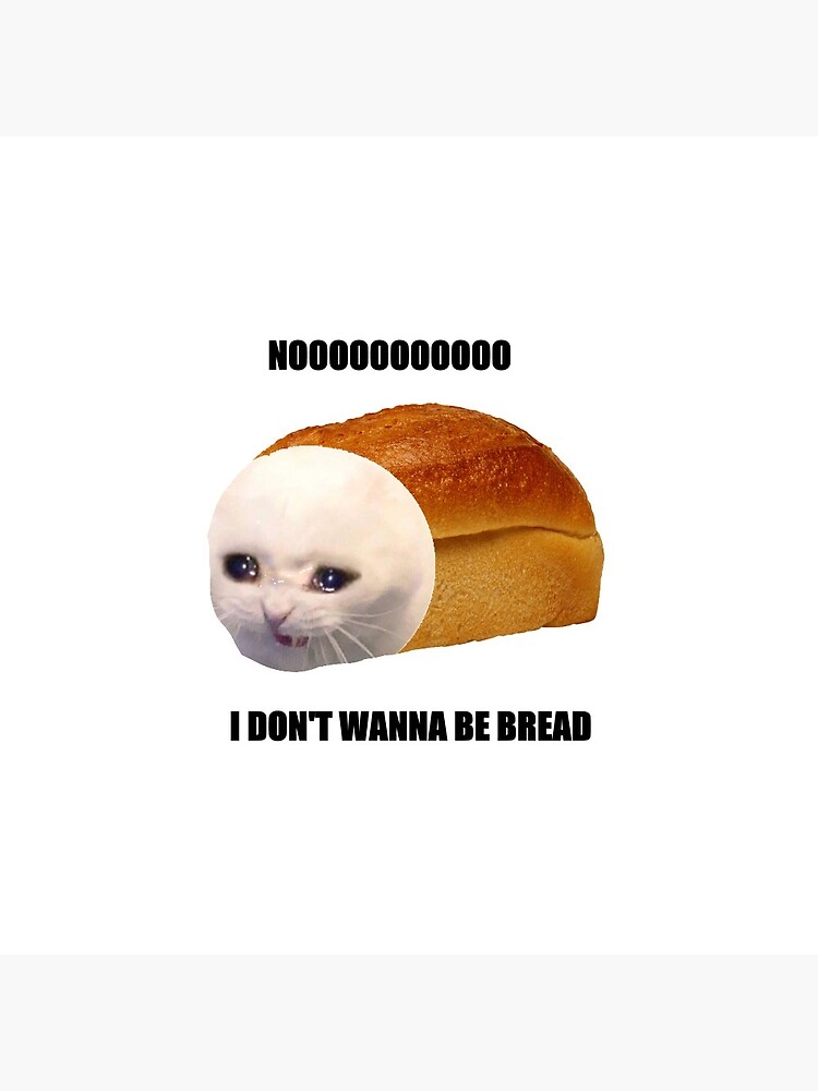 Disover NOO I don't wanna be bread meme cat Pin Button