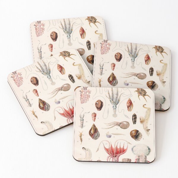 Item preview, Adolphe Millot - Mollusques 01 - French vintage zoology illustration designed and sold by DejaVuStudio.